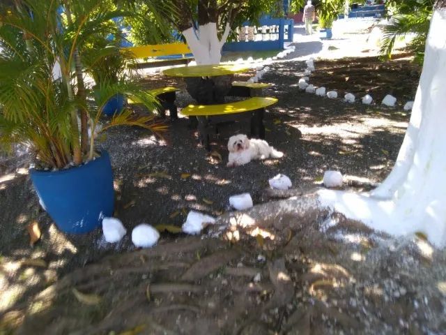 Oportunidade de Imóvel a venda em Porangaba - Foto 2