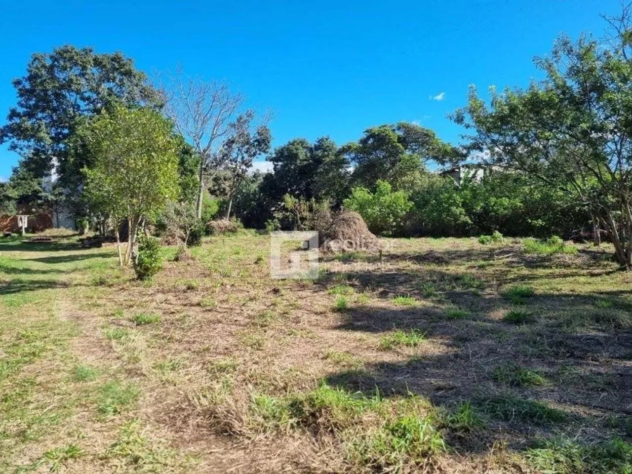 Terreno Residencial à venda, Campeche, Florianópolis - TE0031. - Foto 5