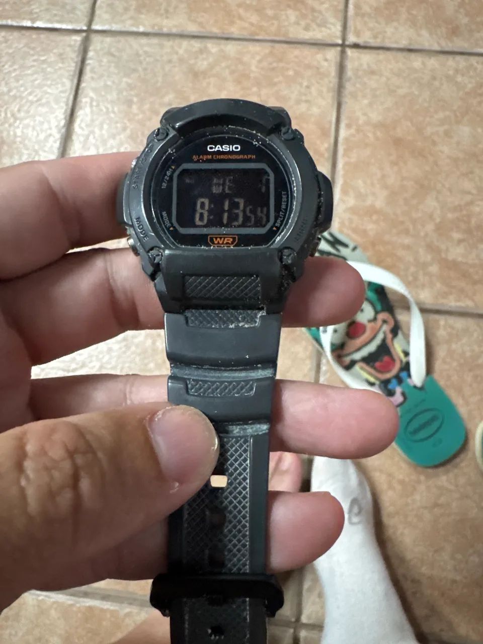 Casio WR