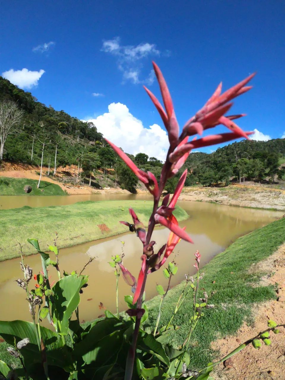 TERRENO RURAL PLANO, COM LAGO E FÁCIL ACESSO - Foto 3