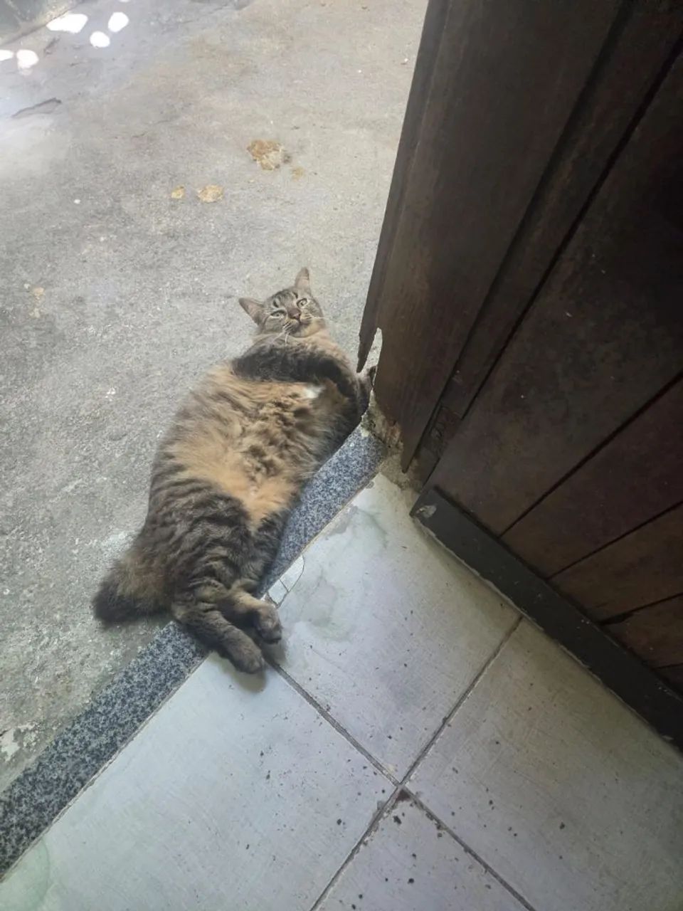 Doação 