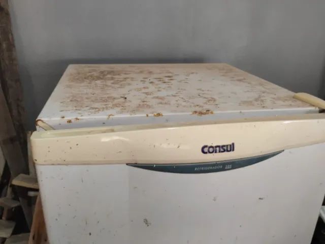 GELADEIRA CONSUL - Foto 2