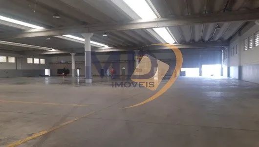 Galão Industrial para Locação na Zona Leste em SP