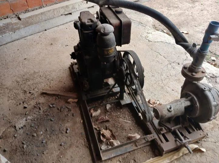 Motor Agrale 12 CV com bomba aclopada - Foto 3
