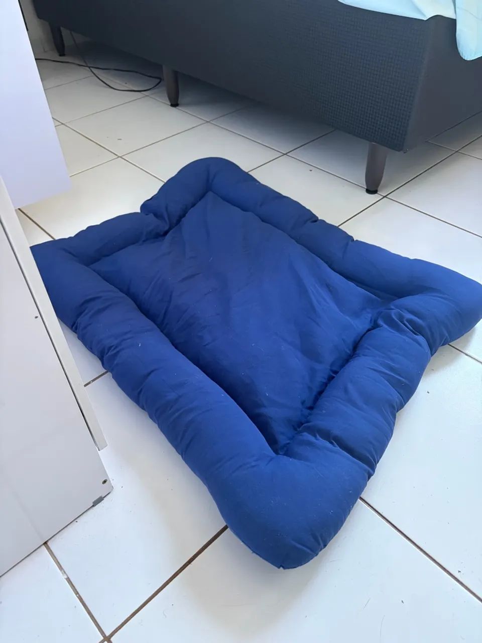 Caminha pra cachorro e gato