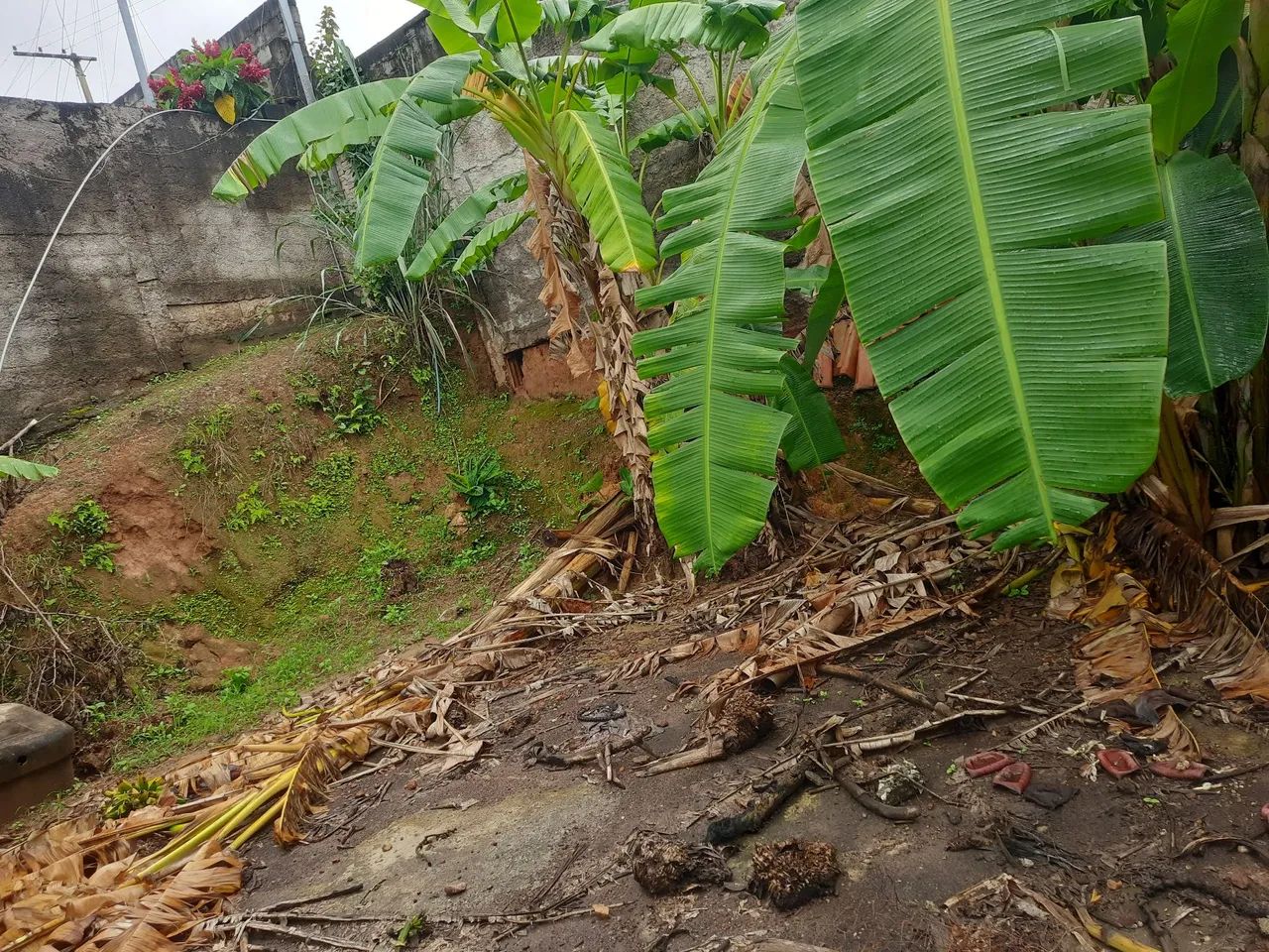 Oportunida Lote. - Foto 4