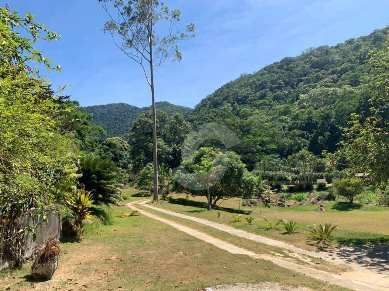 Fantástico Sítio com Cachoeira e Piscina em Saquarema - Foto 3
