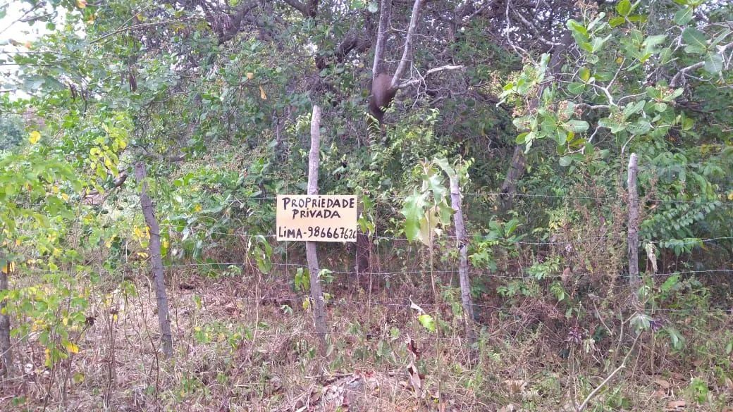 Terreno Itamaracá  - Foto 5