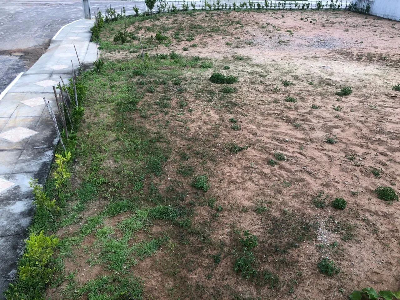 Terreno de Esquina Nascente  - 589 m² | Plano | Energia Instalada | Green Club 3 - Foto 5