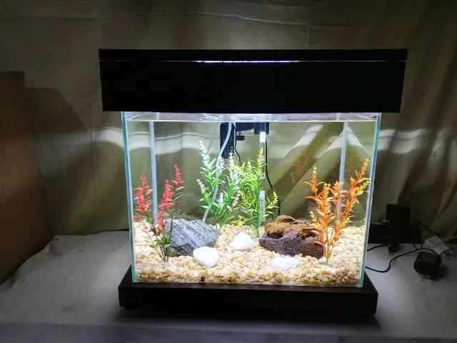 Aquário Novo e Completo 30l
