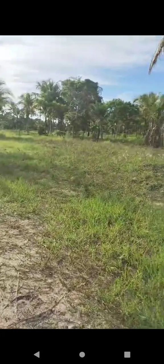 Sítio em Japoatã-se  - Foto 5