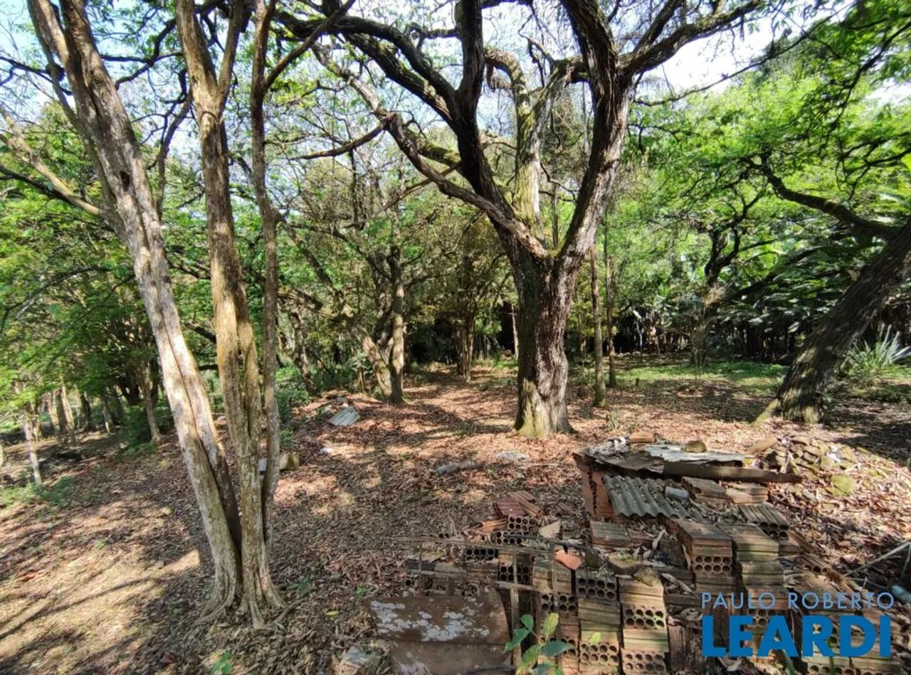 TERRENO - BIANUCCI - MG - Foto 5