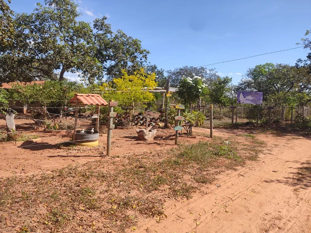 Chácara  - Foto 5