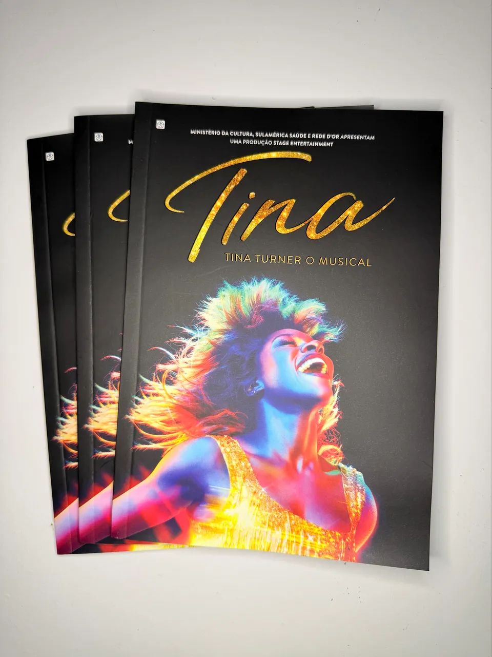 Programa Teatro - Tina Turner: O Musical  - Foto 2