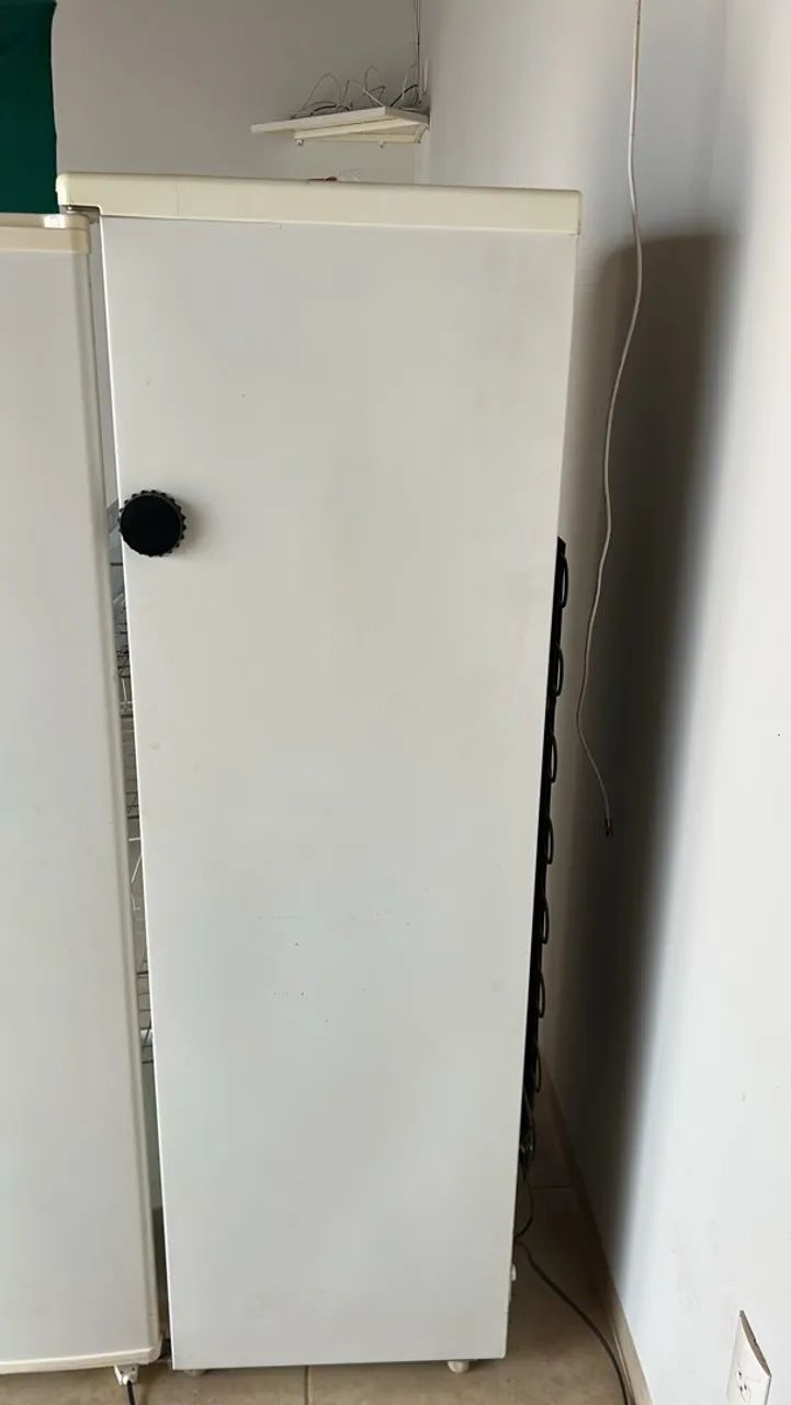 FREEZER BRASTEMP VERTICAL  - Foto 4