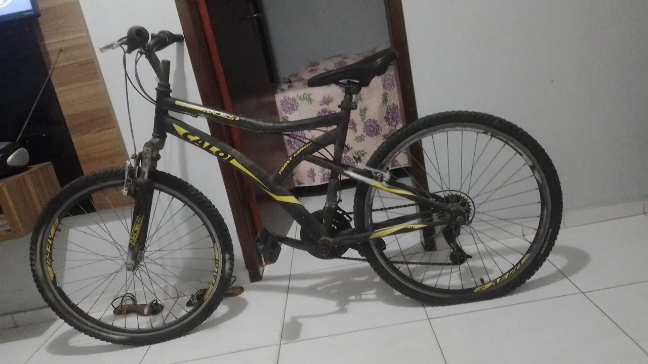 Bicicleta 