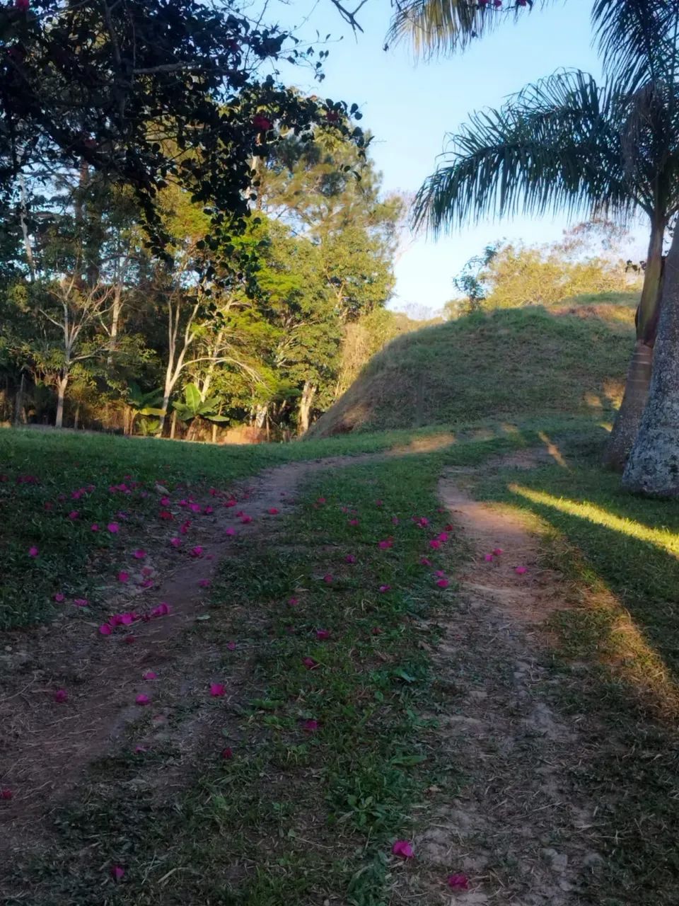 *DIRETO COM PROPRIETÁRIO* - Foto 3