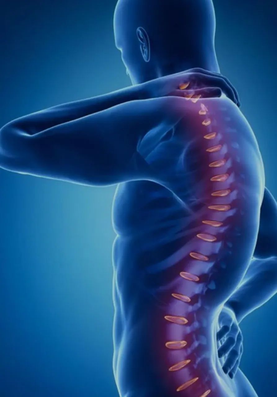 FISIOTERAPIA DOMICILIAR - Foto 4