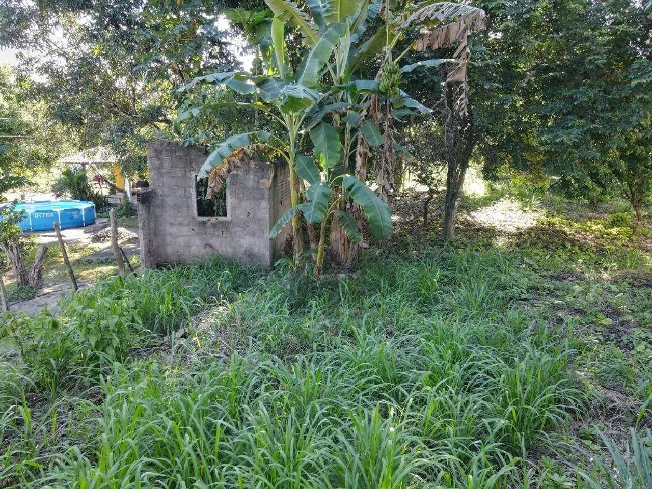 Terreno de 2.000m², localizado em Paudalho - Pernambuco. - Foto 5