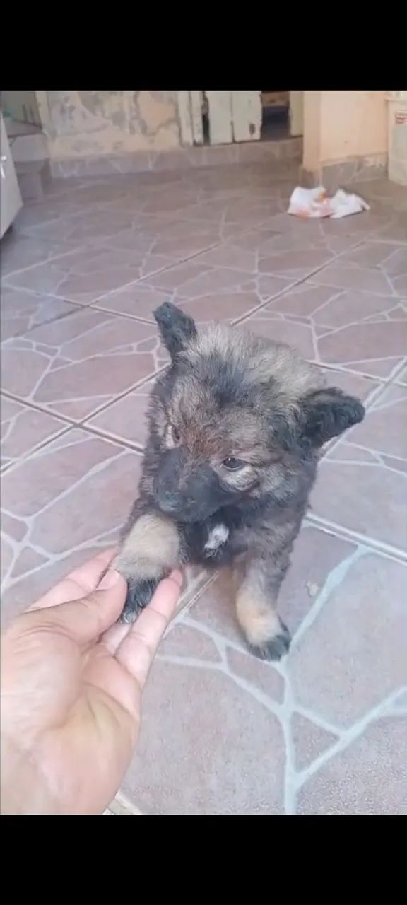 Vende se  - Foto 3