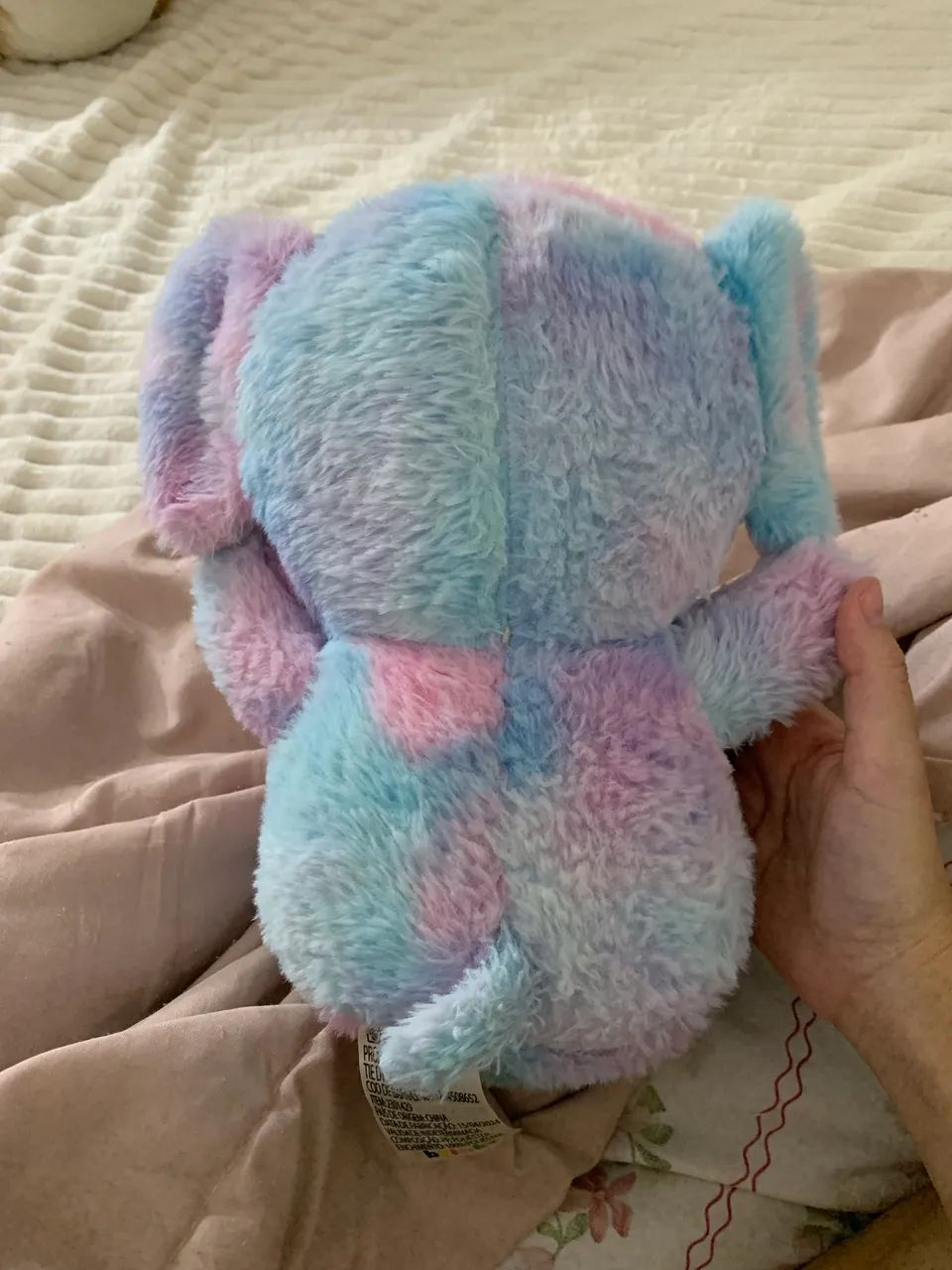 Urso elefante  - Foto 2