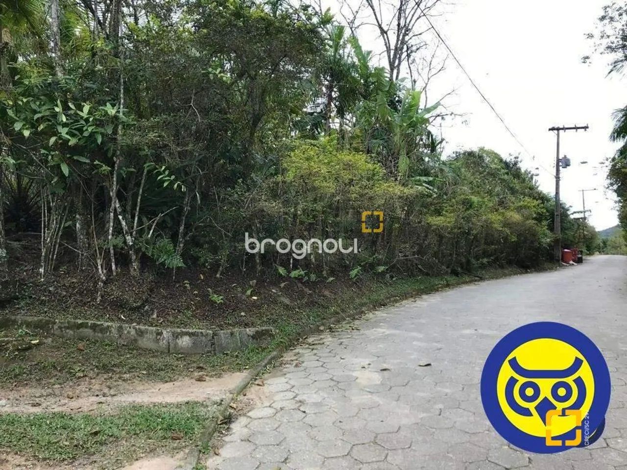 Lote/Terreno com 66.151m² - bairro Vargem Grande - Florianópolis - SC - Foto 2