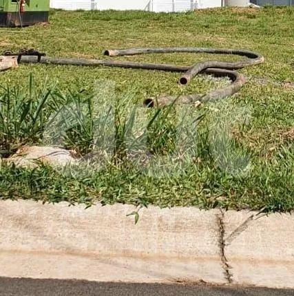 terreno - Swiss Park - Campinas - Foto 2