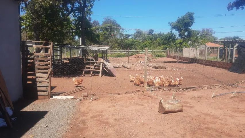 chacara pequena parra alugar - Foto 3