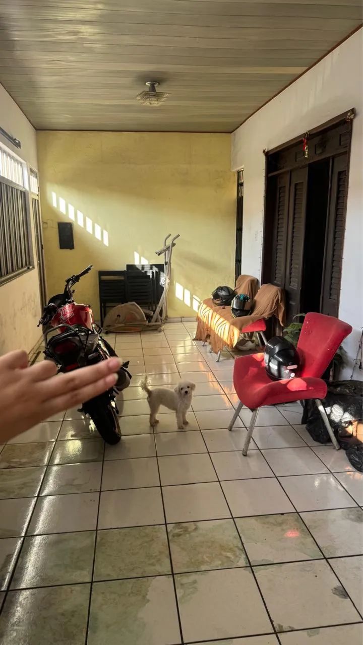 VENDO CASA NA VILA EMBRATEL - Foto 3