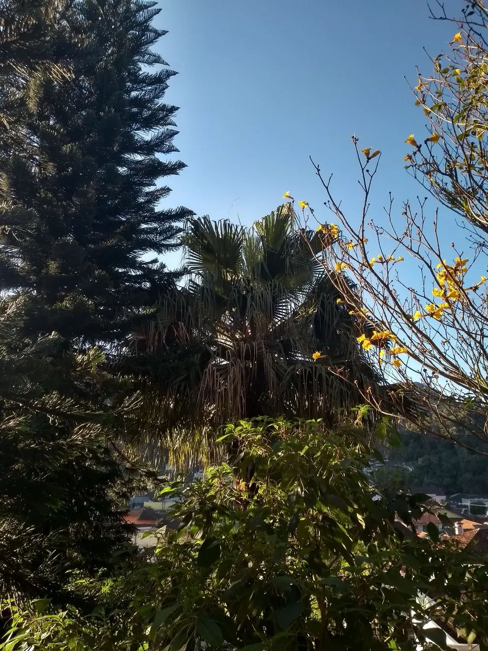Aluguel de quarto para moças - Foto 2