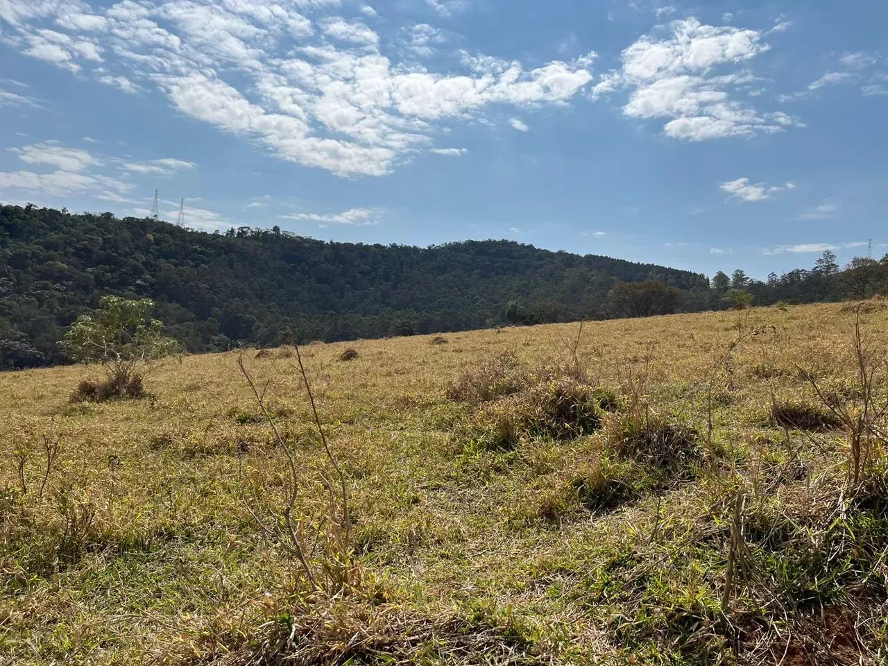 TERRENO COM ACESSO A 200M DA RODOVIA E ACEITO VEICULOS!! - Foto 4
