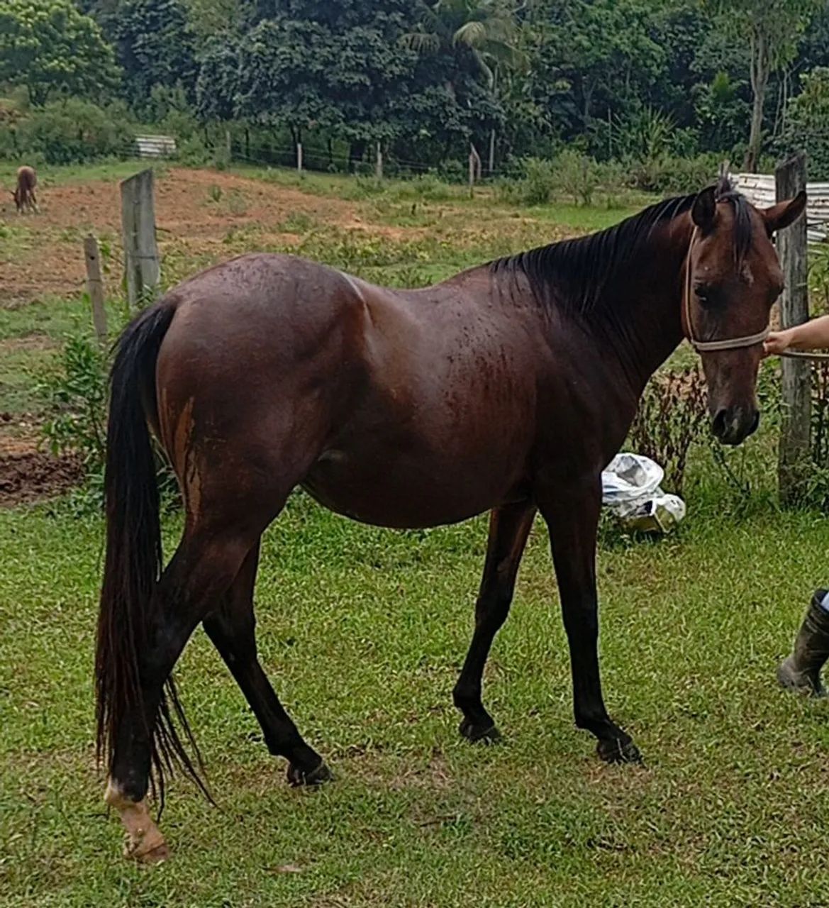 Vendo ou negocio - Foto 5