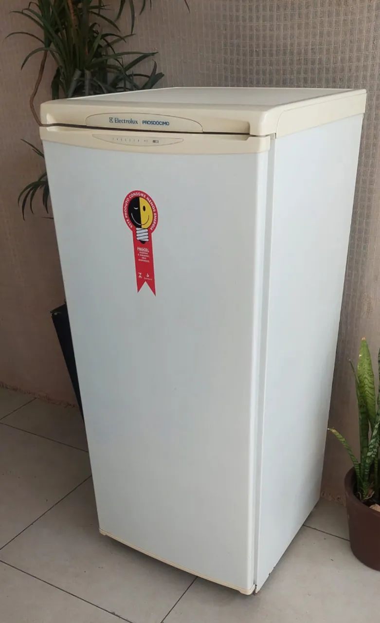 freezer eletrolux 110Volts  - Foto 4