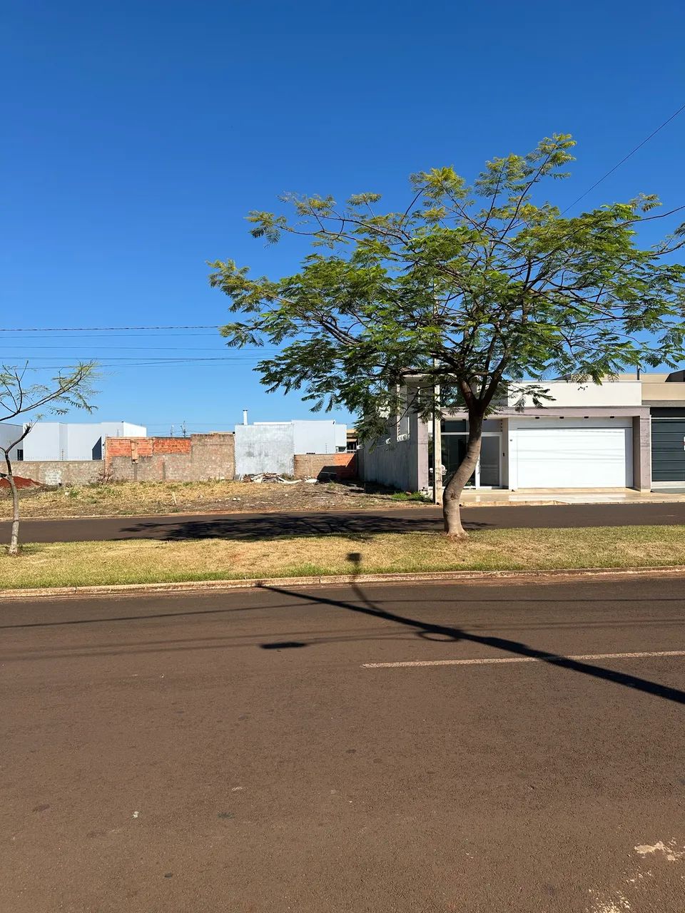 Terreno avenida parque do bosque