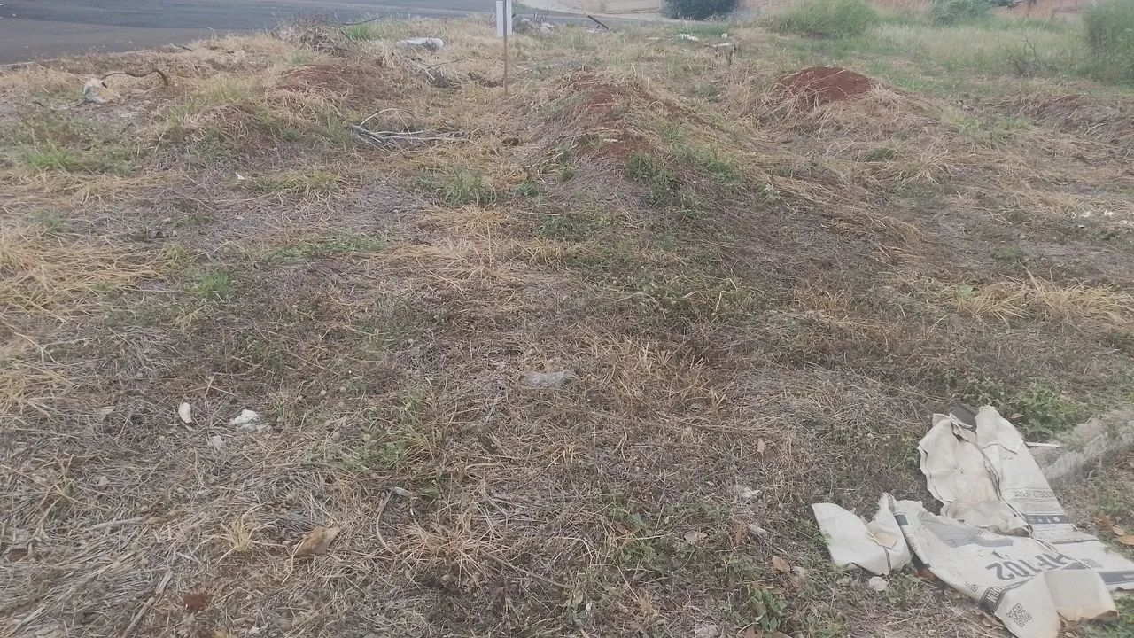 Terreno - Foto 2