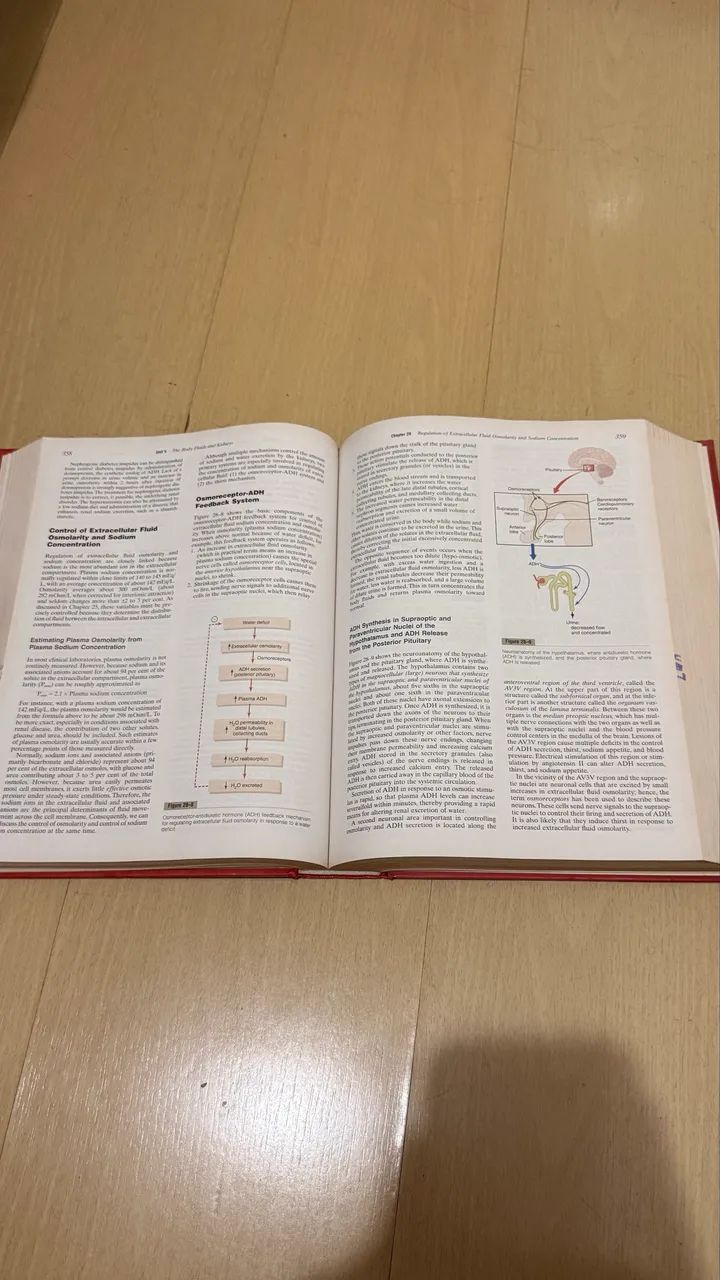 LIVRO FISIOLOGIA GUYTON EM INGLÊS  - Foto 3