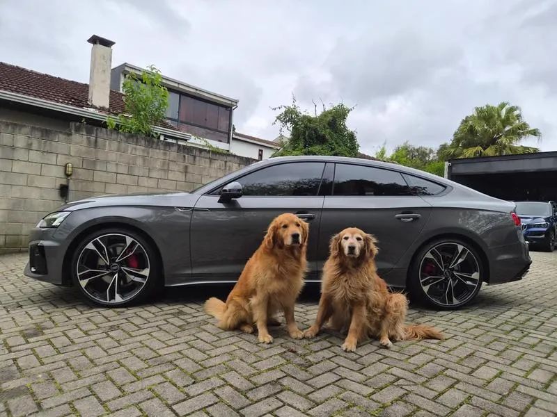 Audi A5 A5 Sportb. S Line 2.0 TFSI Quatt. (Híb.) 2025