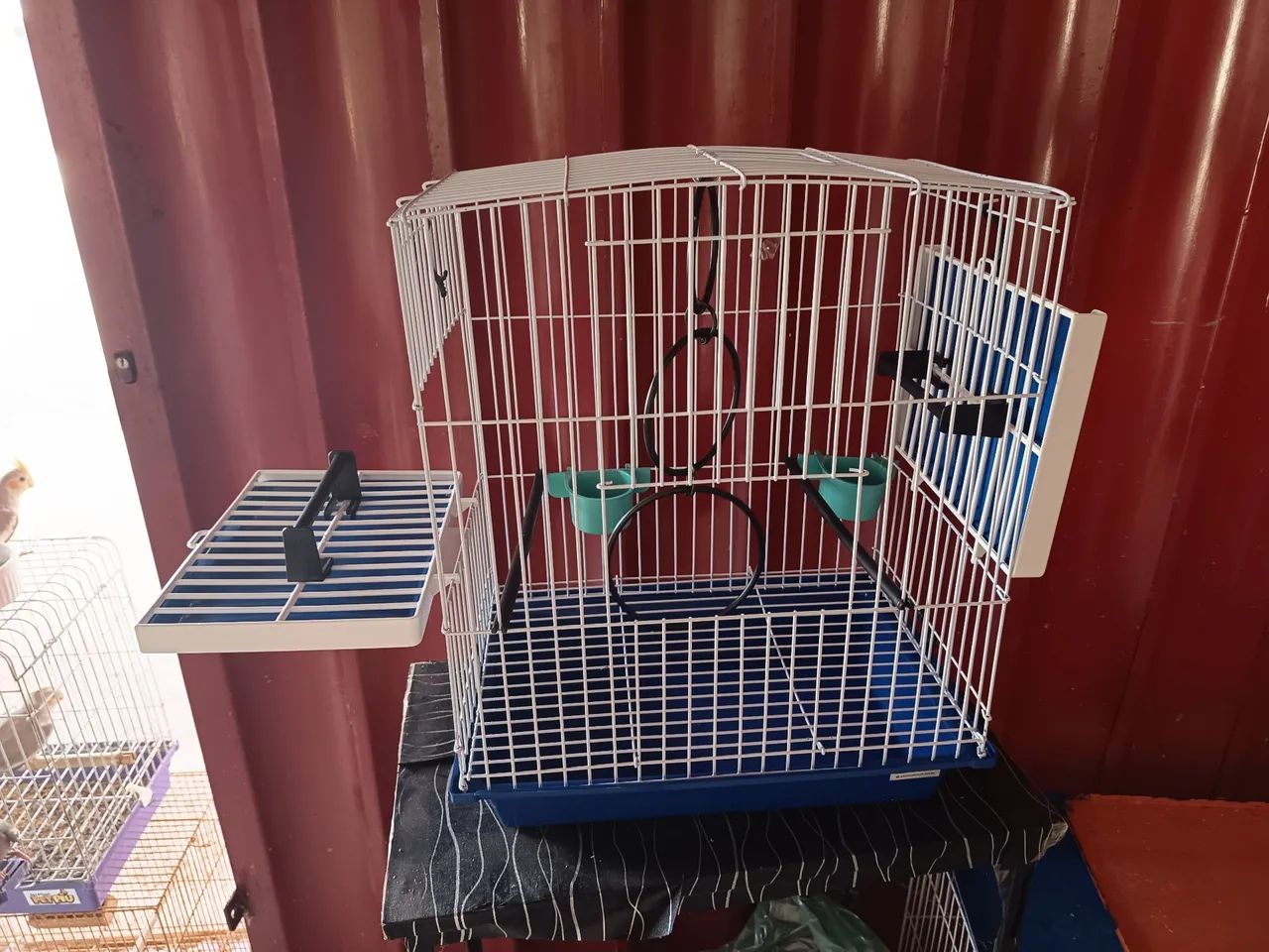 Gaiola para calopsitas mansa - Foto 4