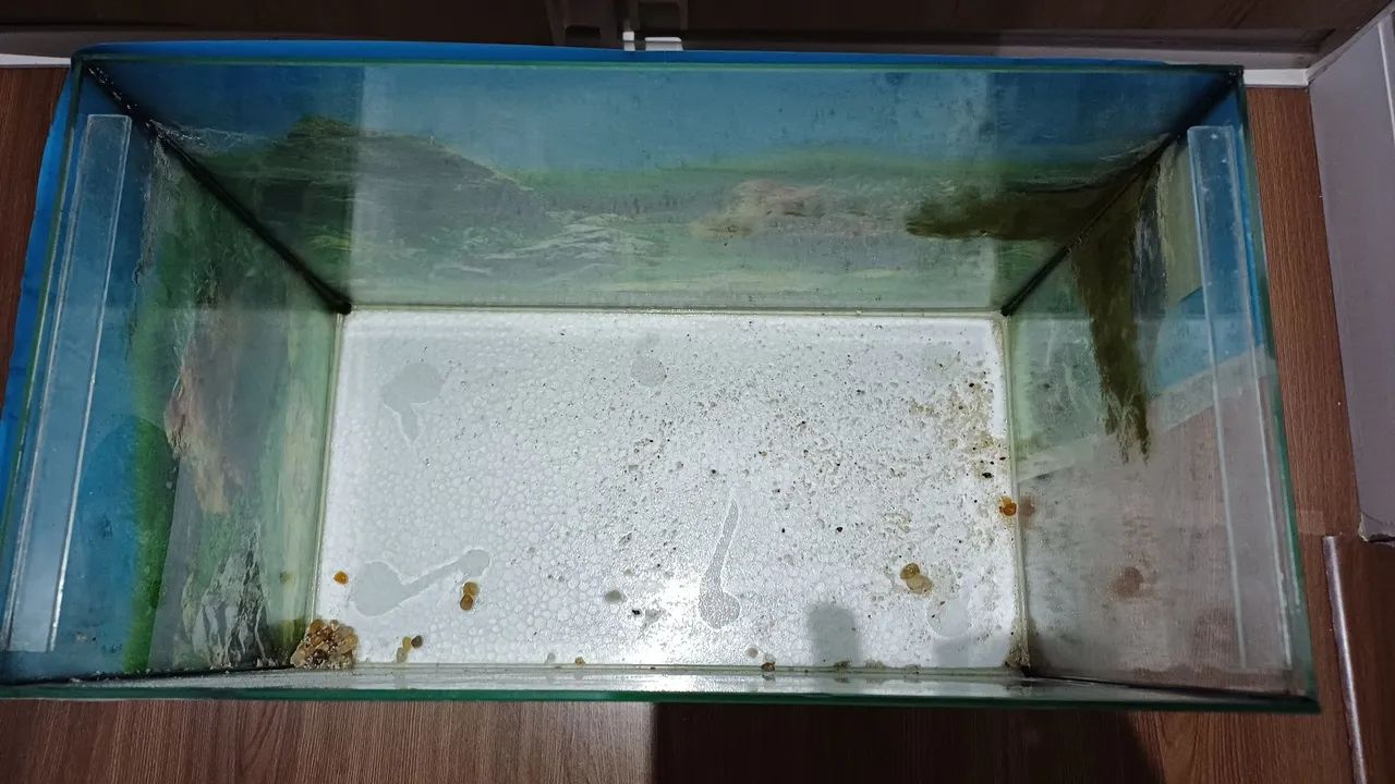 Aquario de vidro retangular  - Foto 4