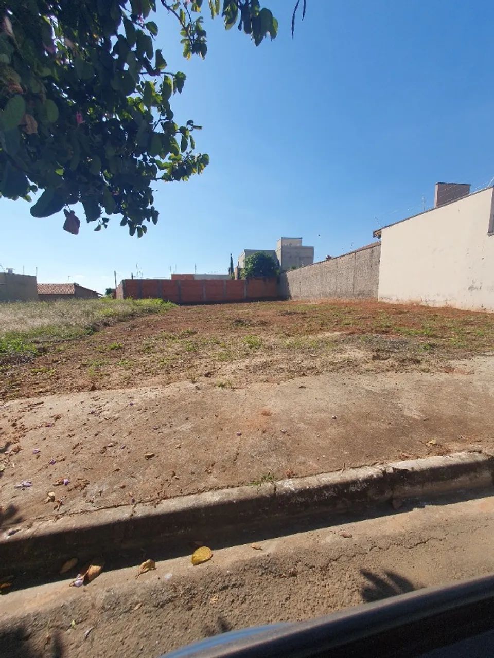 Foto - Mogi Mirim - Parque Jardim Murayama