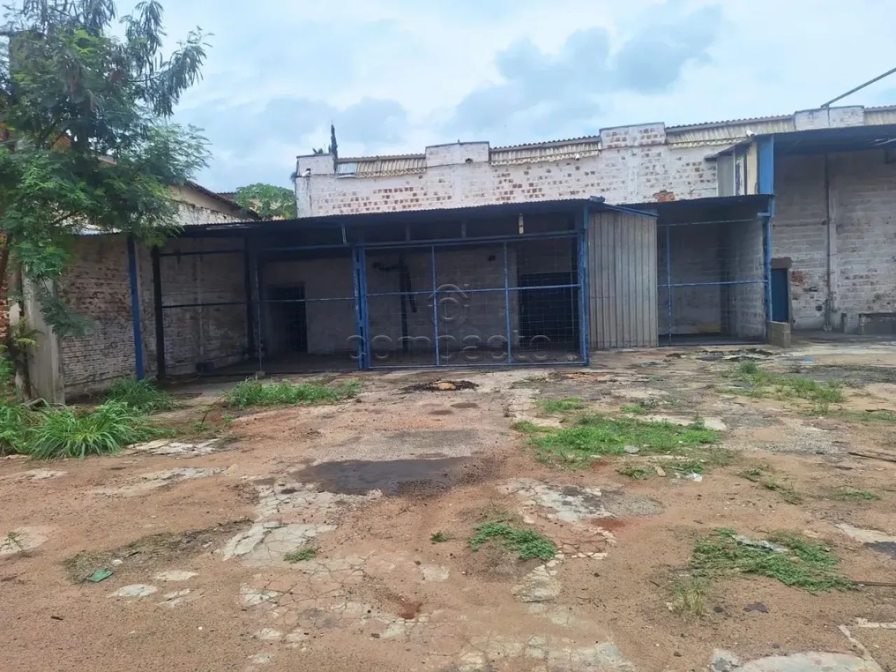 Comercial Barracão em Mirassol