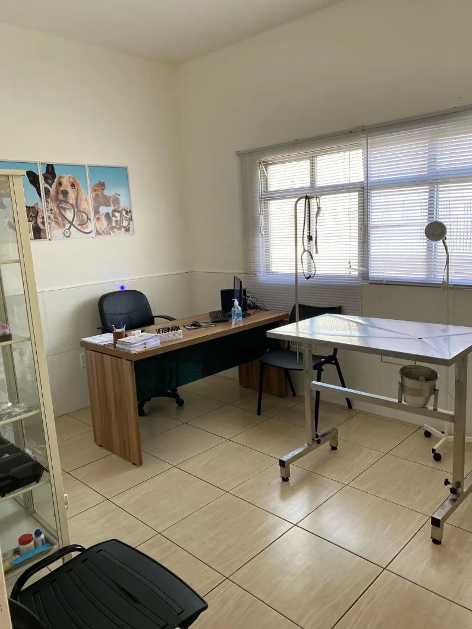 Passo Ponto - Clínica Veterinária  - Foto 5