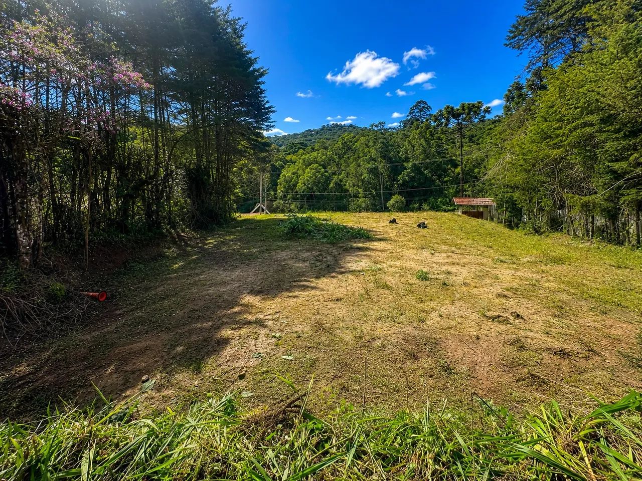 TERRENO  - Foto 2