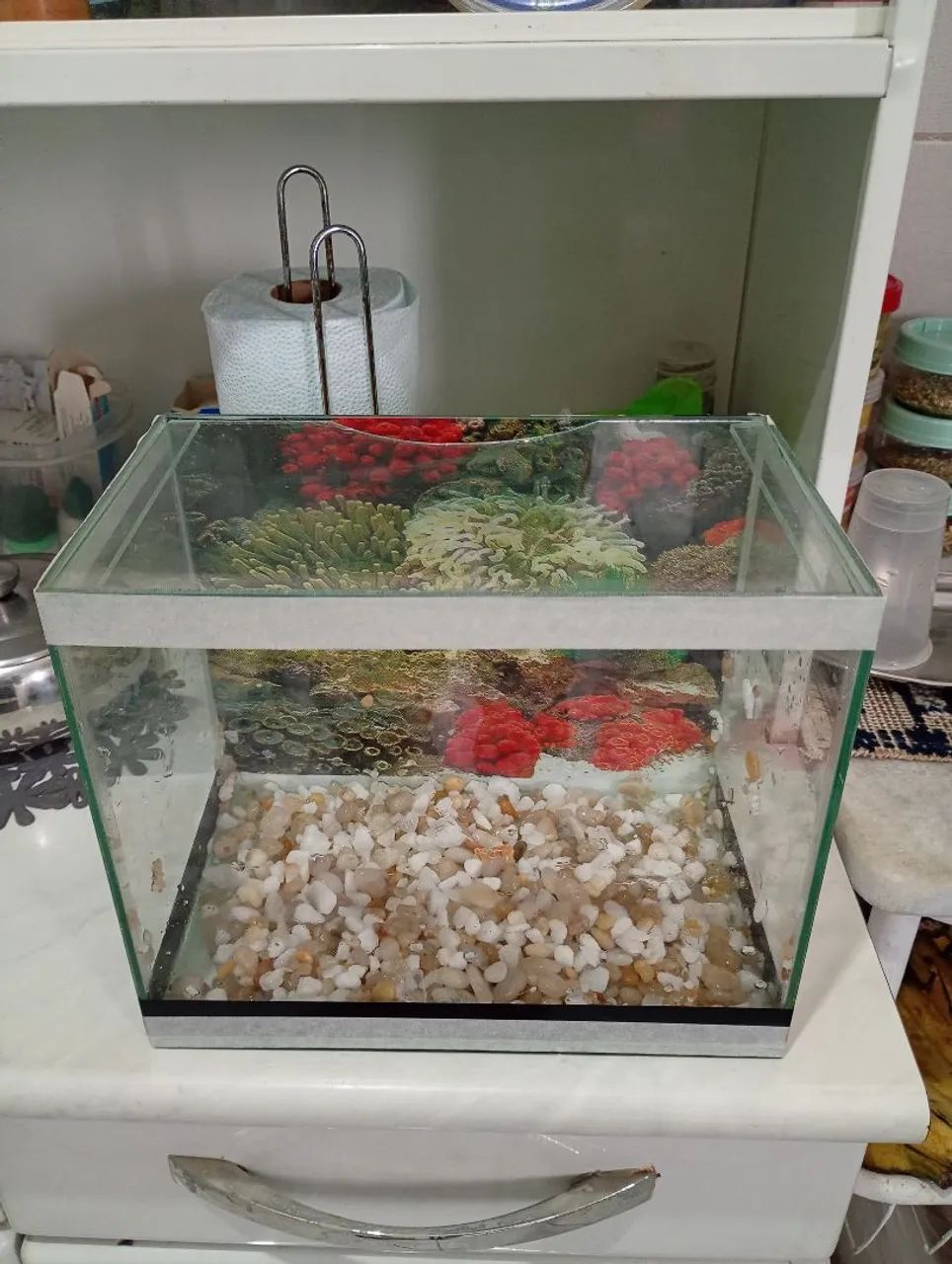 Aquario 