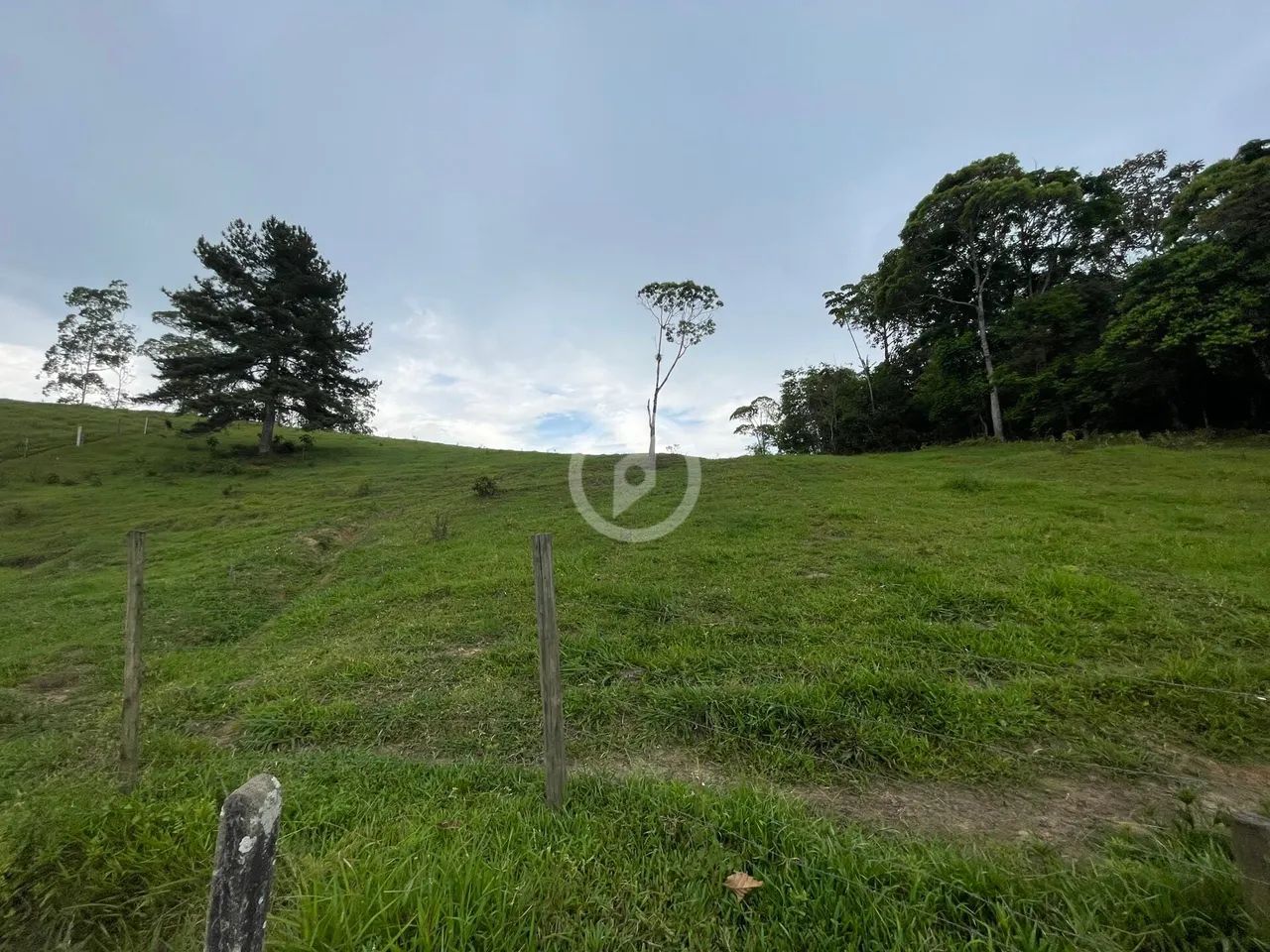 Terreno com pastagem de ampla metragem - Foto 2