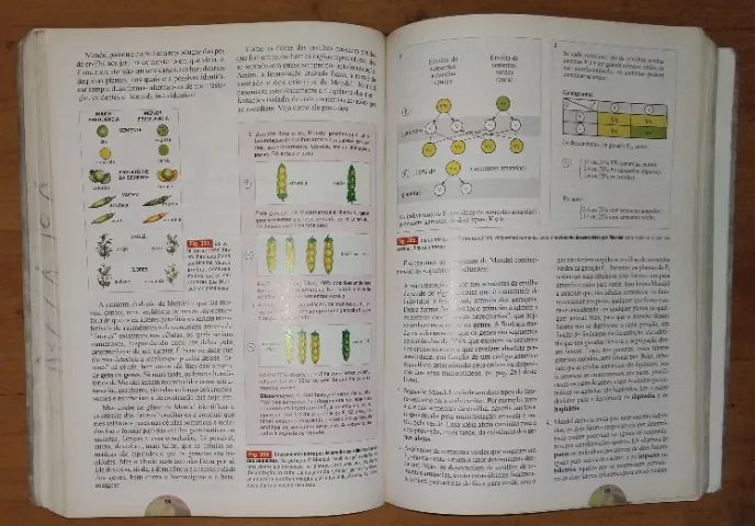 Livro Biologia - Volume Único - 9ª ed. revista e atualizada - Scipione - Foto 4