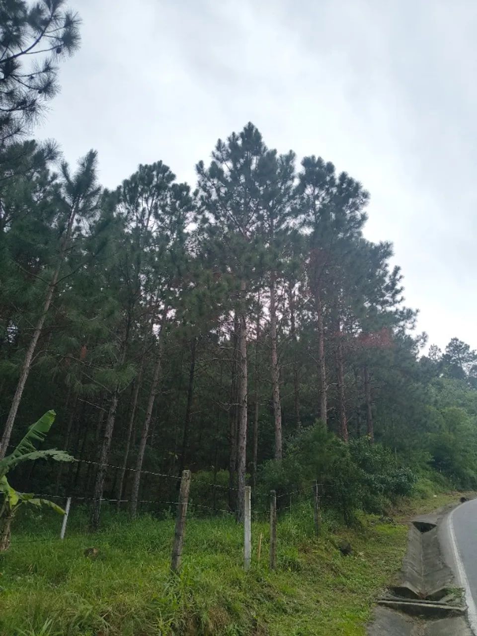 Terreno 509,00m2 - Foto 3