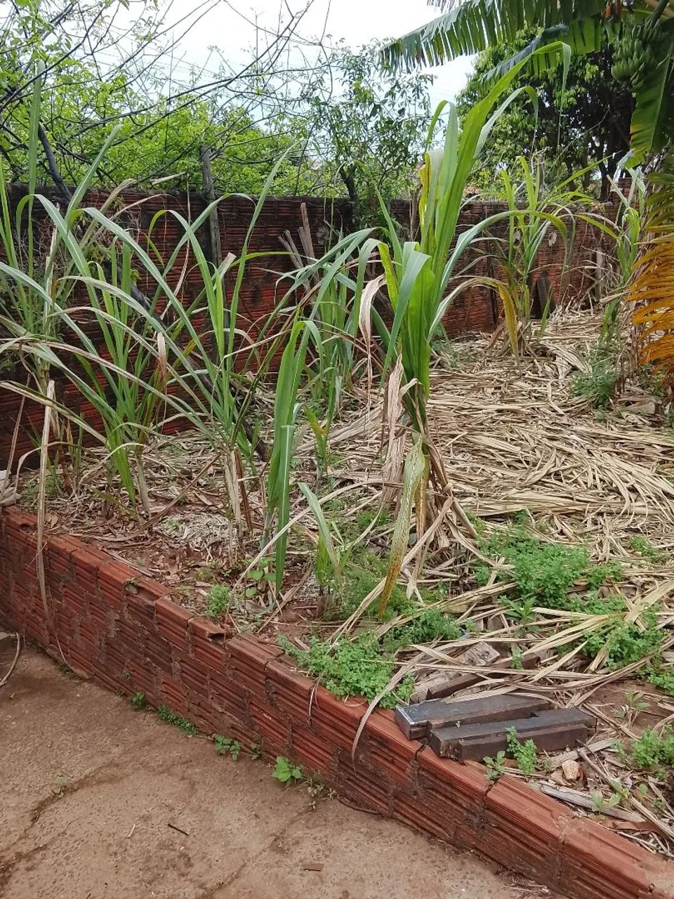 Vende-se Terreno - Foto 4