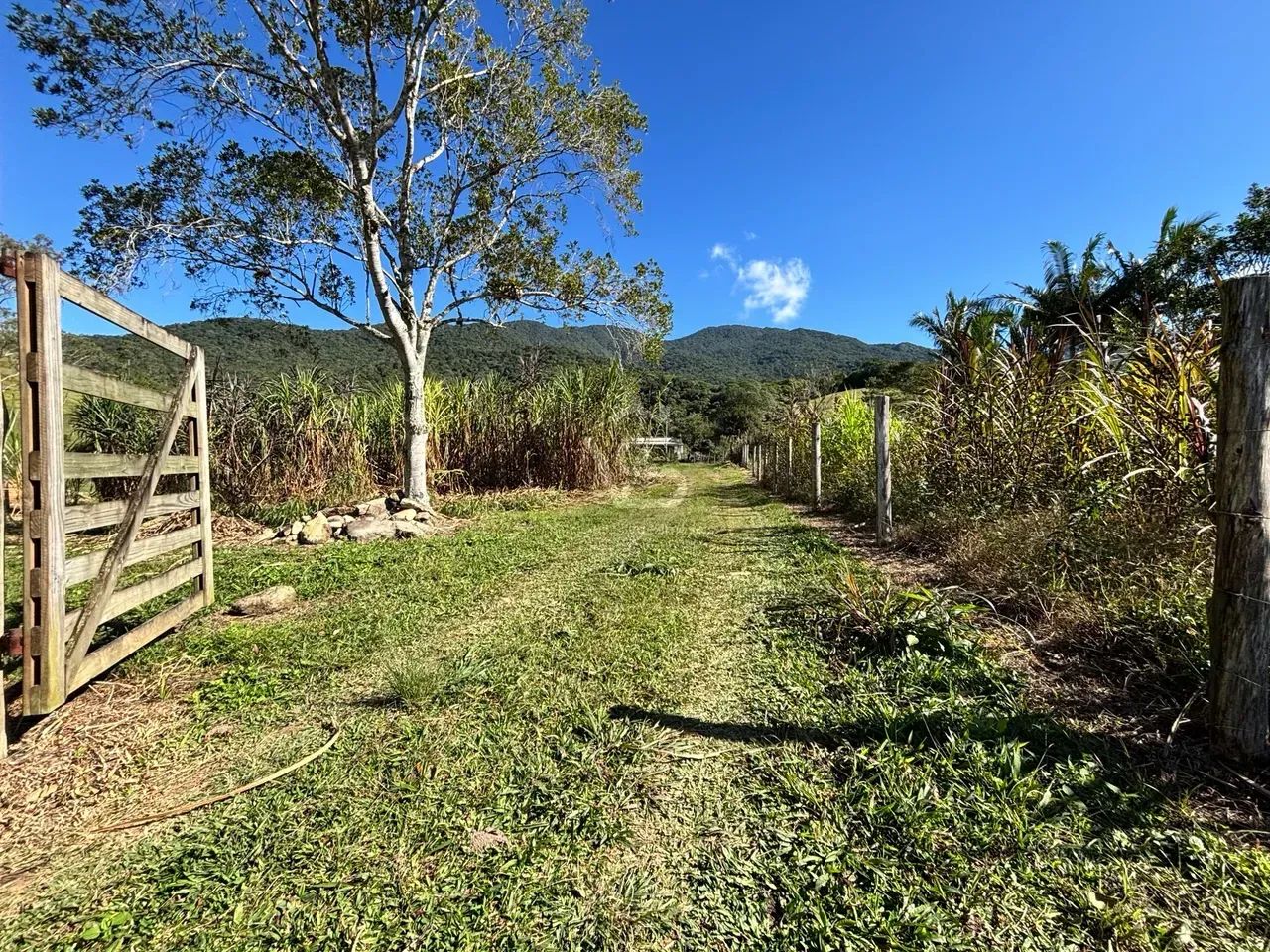 SÍTIO COMPLETO COM 1,76 HECTARE, 2 AÇUDES E CASA COM 4 QUARTOS  PAULO LOPES - Foto 3
