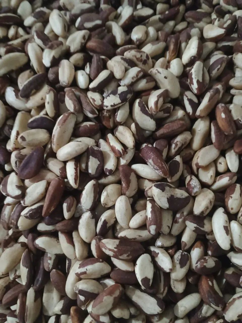 Castanha do Brasil (Pará) 500g